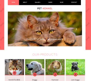 红色背景宠物世界html5网页模板