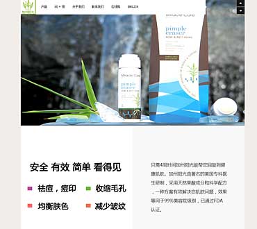 美国加州阳深圳网站站模版